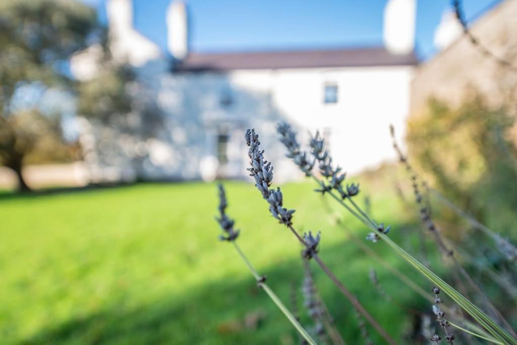Georgian Country House -Panoramic Views -Sleeps 12 Ruthin Exteriör bild